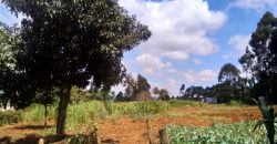 Plot for sale in Rironi, Limuru area