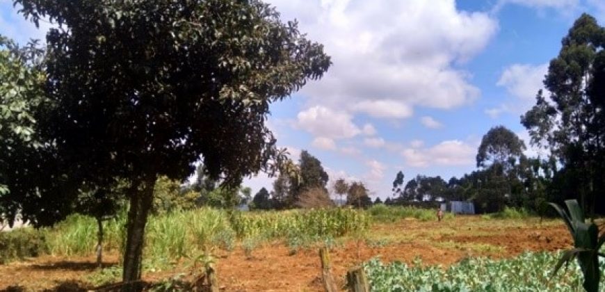 Plot for sale in Rironi, Limuru area