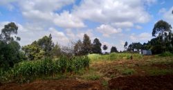 Plot for sale in Rironi, Limuru area