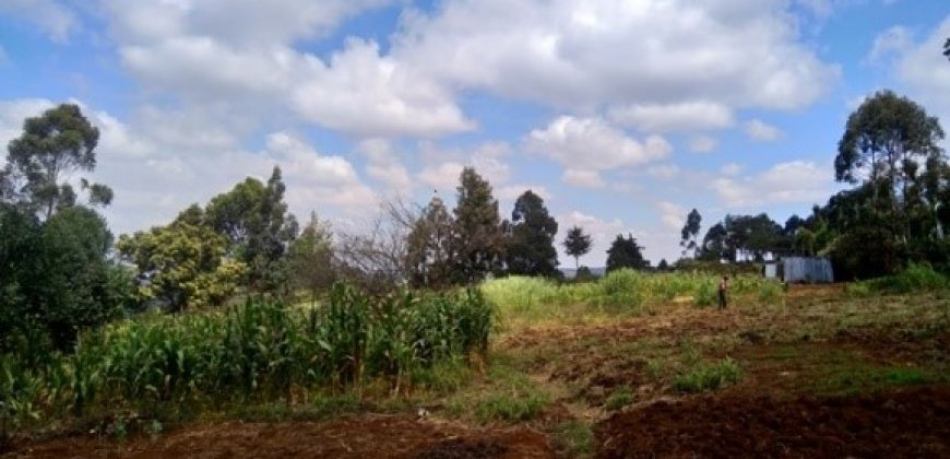 Plot for sale in Rironi, Limuru area