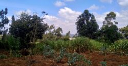 Plot for sale in Rironi, Limuru area