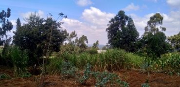 Plot for sale in Rironi, Limuru area