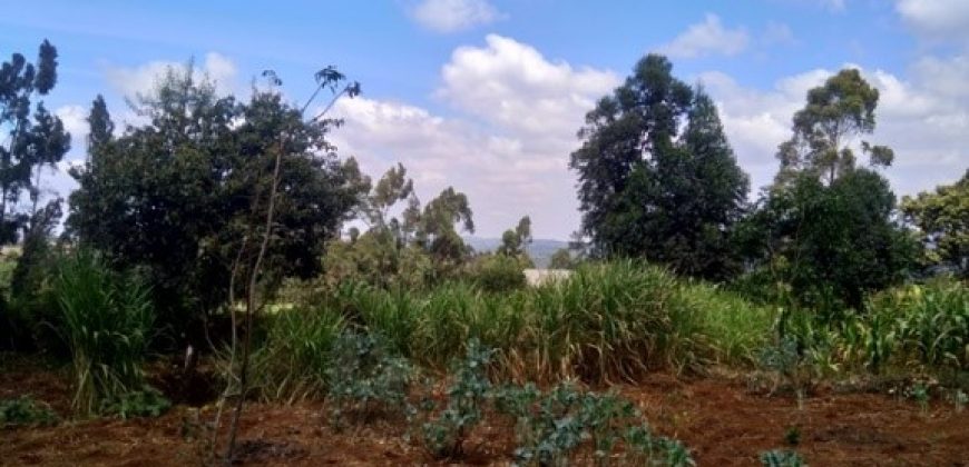 Plot for sale in Rironi, Limuru area